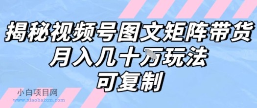 解密视频号图文矩阵带货，月入几个W的打法，可复制-小白项目分享网