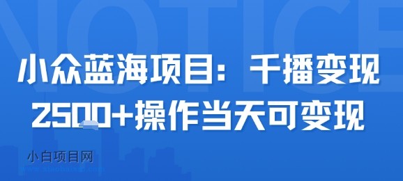 小众蓝海项目，千播变现2.5k+操作当天可变现-小白项目分享网