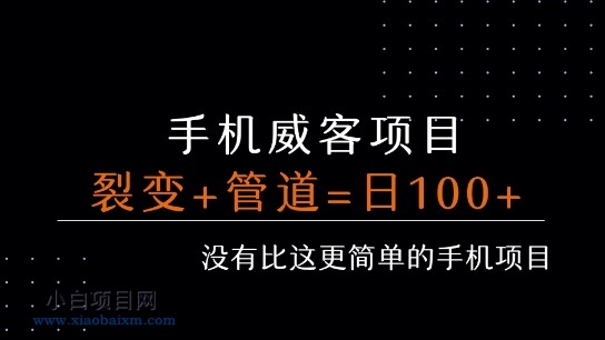手机威客裂变+管道收益 每天被动收益至少100+-小白项目分享网