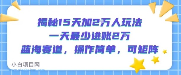 揭秘15天加2W人玩法，一天最少2万进账，蓝海赛道，操作简单，可矩阵-小白项目分享网