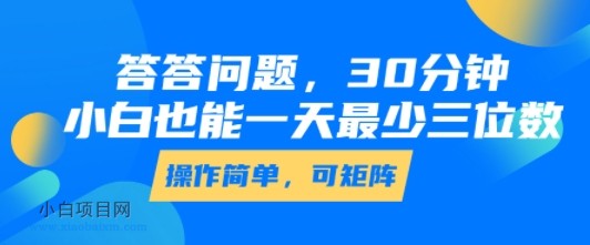 答答问题，30分钟，小白也能一天最少也有三位数，操作简单-小白项目分享网