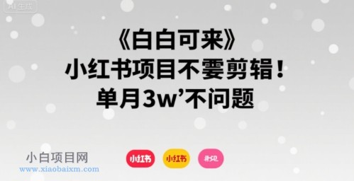 小白可来 小红书项目不需要剪辑 单月3w不是问题-小白项目分享网