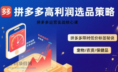 拼多多选品暴利技术实战课，拼多多高利润选品策略，拼多多限时低价标签秘诀-小白项目分享网