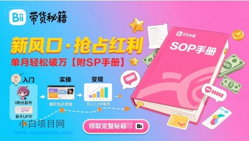 B站哔哩哔哩带货秘籍，新风口，抢占红利，单月轻松破万【附SOP手册】-小白项目分享网