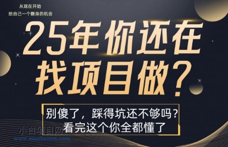 25年，你还在疯狂的找项目吗？别傻了，看完这个你都懂了【揭秘】-小白项目分享网
