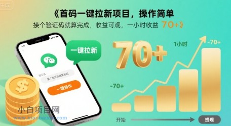 首码一键拉新项目,操作简单,接个验证码就算完成,收益可观, 一小时收益70+【揭秘】-小白项目分享网