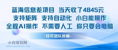 蓝海信息差项目当天收米1k+ 支持矩阵支持自动化小白能操作全程AI操作不需要人工你只要会电脑-小白项目分享网
