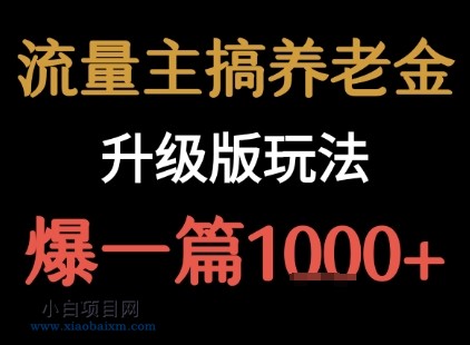 流量主之养老金升级版玩法  爆一篇收益1k+-小白项目分享网