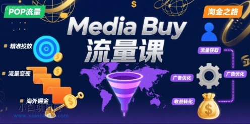 Media Buy之POP流量课，带你开启海外Media Buy淘金之路-小白项目分享网