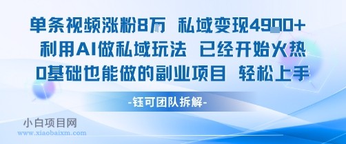 单条视频私域变现4.9k+利用AI做私域玩法 已经开始火热0基础也能做的副业项目轻松上手-小白项目分享网