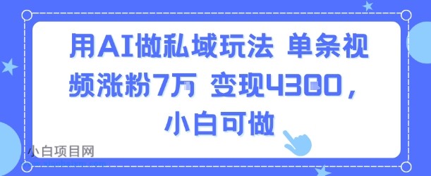 用AI做私域玩法，单条视频涨粉7W变现4.3k，小白可做-小白项目分享网