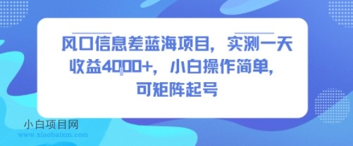 风口信息差蓝海项目，实测一天收益4k+，小白操作简单，可矩阵起号-小白项目分享网