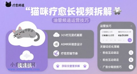 猫咪疗愈长视频拆解 &油管频道运营技巧-小白项目分享网