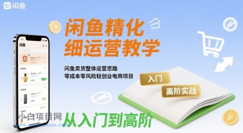 闲鱼精细化运营入门+高阶实战教学，闲鱼卖货整体运营思路，零成本零风险轻创业电商项目-小白项目分享网