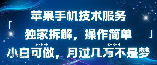 苹果手机技术服务，独家拆解，操作简单，小白可做，月过1W不是梦-小白项目分享网