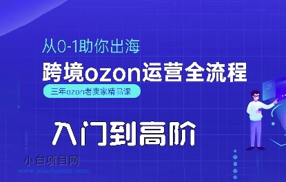 OZON入门到高阶全流程，从0-1助你出海，跨境ozon运营全流程-小白项目分享网