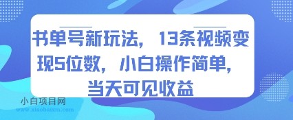书单号新玩法，13条视频变现5位数，小白操作简单，当天可见收益-小白项目分享网