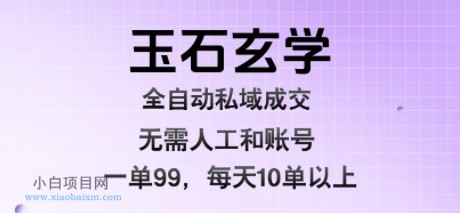 玉石玄学全自动私域成交，一单99每天十单以上，无需人工和矩阵账号，蓝海项目直接干【揭秘】-小白项目分享网