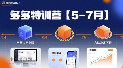 多多特训营【5-7月】产品决定上限，方法决定下限，各种玩法技巧落地实操-小白项目分享网