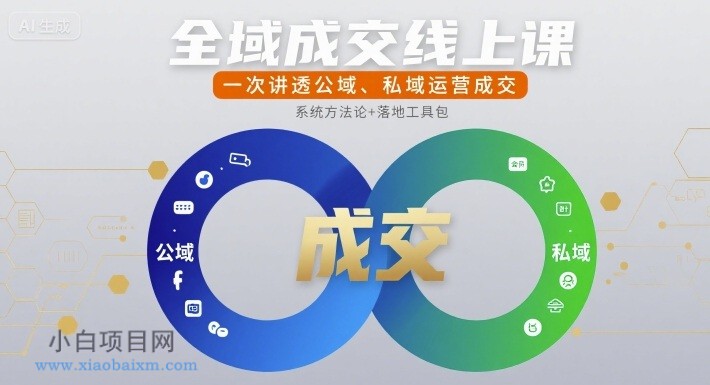 全域成交线上课，一次讲透公域、私域运营成交-小白项目分享网