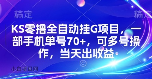KS零撸全自动挂G项目，一部手机单号70+，可多号操作，当天出收益【揭秘】-小白项目分享网