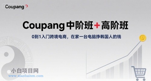 Coupang中阶班+高阶班，0到1入门跨境电商，在家一台电脑挣韩国人的钱-小白项目分享网