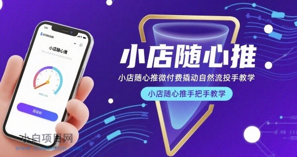 小店随心推微付费撬动自然流投手教学，小店随心推手把手教学-小白项目分享网