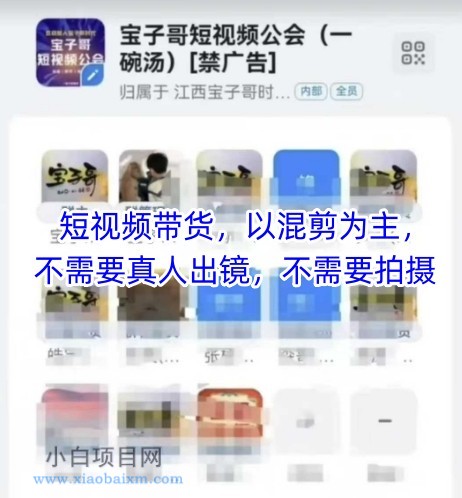 宝子哥头部团队短视频带货，以混剪为主，不需要真人出镜，不需要拍摄【更新8月】-小白项目分享网