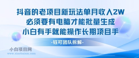 老项目新玩法单月收入2W小白有手就能操作长期项目-小白项目分享网