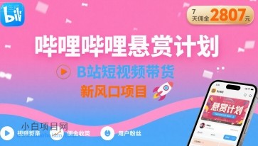 哔哩哔哩悬赏计划，B站短视频带货，7天佣金2807，新风口项目-小白项目分享网