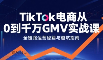 TikTok电商从0到千万GMV实战课，从0到1拆解实战秘籍-小白项目分享网