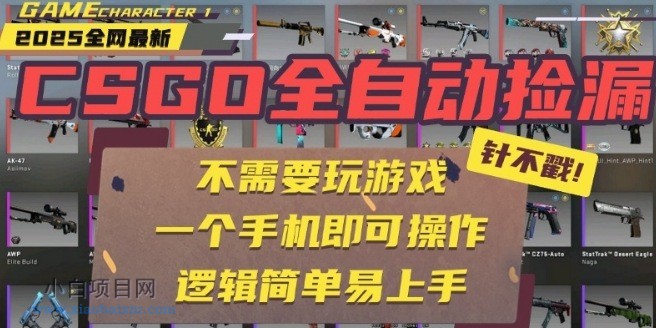 CSGO自动捡漏项目，最新独家玩法，一个手机即可操作，新手小白轻松月入1W+，操作简单易上手【揭秘】-小白项目分享网