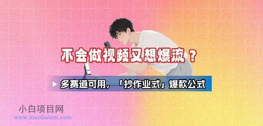 不会做视频又想爆流？多赛道可用，「抄作业式」爆款公式-小白项目分享网