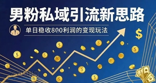 男粉私域引流新思路，单日稳收8张利润的变现玩法-小白项目分享网