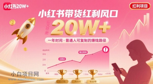 一年时间靠小红书带货项目年入20w+，最不能错的大红利项目-小白项目分享网