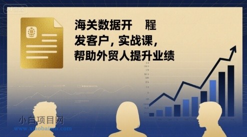海关数据开发客户实战课，帮助外贸人提升业绩-小白项目分享网