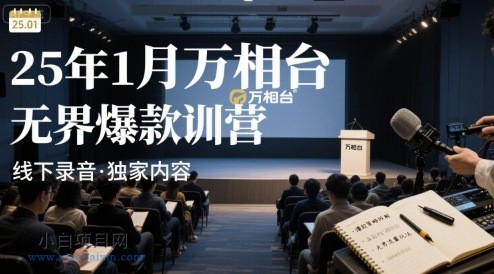 25年1月万相台无界爆款特训营线下录音-小白项目分享网