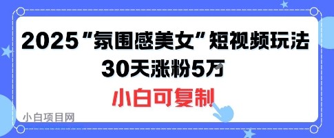 不露脸也能火！2025“氛围感美女”短视频玩法，30天涨粉5W小白可复制-小白项目分享网