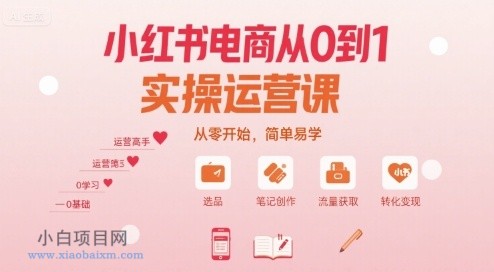 小红书电商从0到1实操运营课，从零开始，简单易学-小白项目分享网