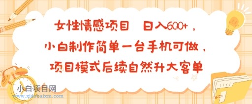女性情感项目 小白制作简单一台手机可做 项目模式后续自然升大客单 日入6张-小白项目分享网
