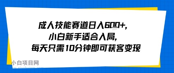 成人技能赛道日入多张，小白新手适合入局，每天只需10分钟即可获客变现-小白项目分享网