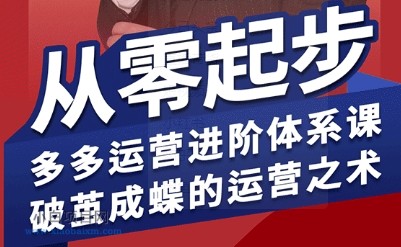 拼多多运营进阶系统课,从零起步,多多运营进阶体系课,破茧成蝶的运营之术-小白项目分享网