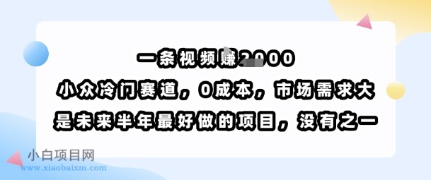 一条视频挣1k，小众冷门赛道，0成本，市场需求大，是未来半年最好做的项目，没有之一-小白项目分享网