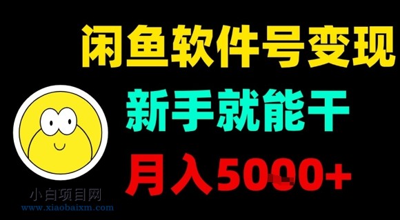 闲鱼软件号变现，新手就能干，月入5k+-小白项目分享网