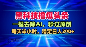 黑科技撸爆头条，一键去除AI，秒过原创，每天半小时，稳定日入3张+【揭秘】-小白项目分享网