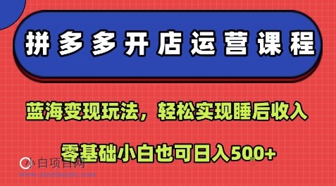 拼多多开店运营课程:蓝海变现玩法,轻松实现睡后收入,零基础小白也可日入5张