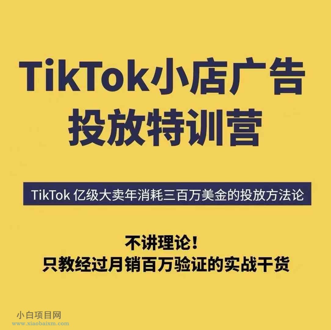 TikTok小店广告投放特训营，6天破局计划专治各种“投不动”，教你经过月销百万验证的实战干货-小白项目分享网