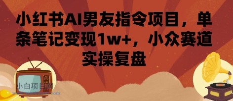 小红书AI男友指令项目，单条笔记变现1w+，小众赛道实操复盘-小白项目分享网