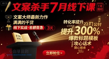 文案杀手7月线下课，​文案大师最新力作，满满的干货-小白项目分享网