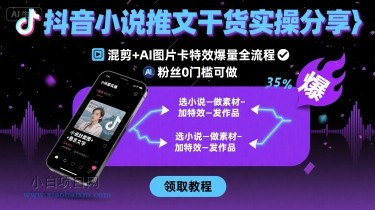 抖音小说推文干货实操分享，混剪+AI图片卡特效爆量全流程，0粉丝0门槛可做-小白项目分享网